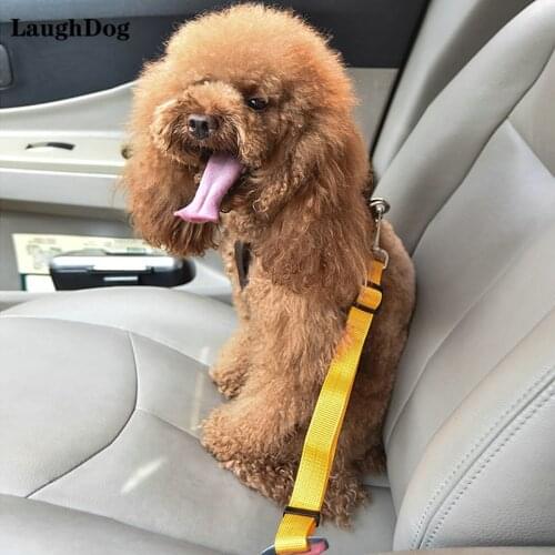 LaughDog Dog Harness