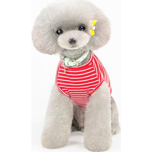 New Pet Dog Clothes for Dog Pet Costume Cat Clothes For Small Dogs Cat Vest T Shirts Chihuahua Cool Puppy Clothing For Kitty