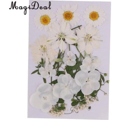 White Multiple Real Pressed Leaves Natural Dried Flowers for Handmade Art Craft Scrapbooking Card Making Resin Jewelry Craft