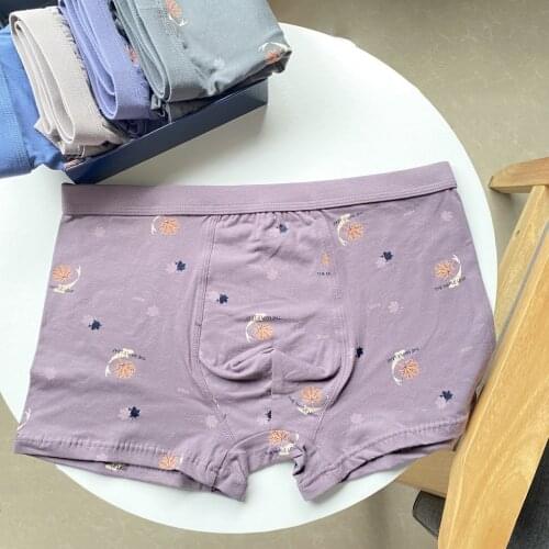 Boxer Shorts Underpants Mens Panties Underwear Cotton Male Undergarments Large Size Soft