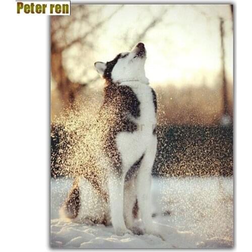 Peter ren Diy diamond painting cross stitch 5D round diamond Mosaic icon Crafts art Rhinestones Full embroidery Snow Wolf roar