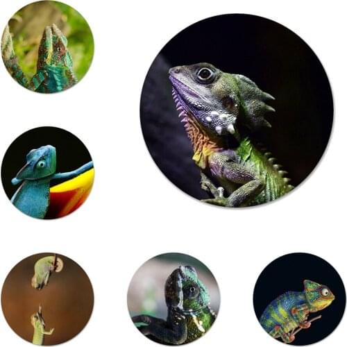 Chameleon Icons Pins Badge Decoration Brooches Metal Badges For Backpack Decoration 58mm