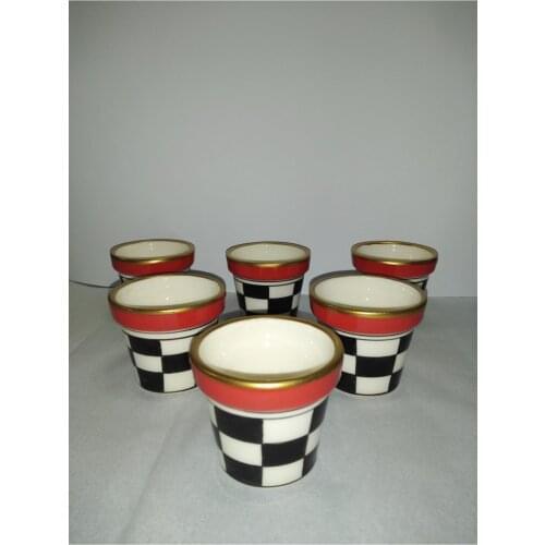 Sukulent Cactus Flower Pot Set 6'lı