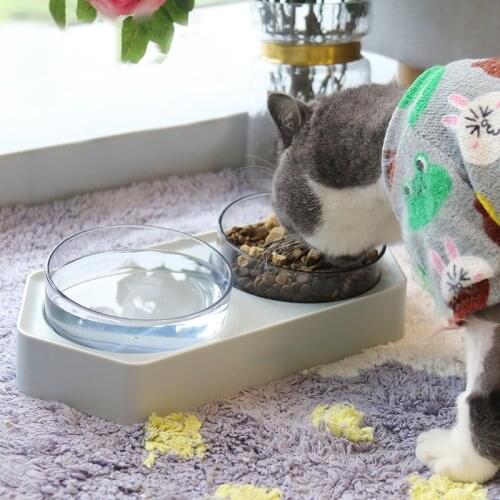 Pet Feeder and Drinking Cats Accessories Kitten Food Container Bowl Cat Bowls with Stand Dishes Eating Water Bowl for Cat Double