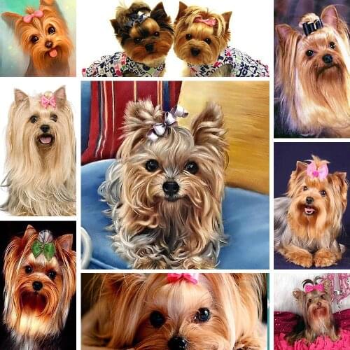 Cute Dog Bow 11CT Cross Stitch Kit Needlework Craft Set Canvas Printed Cotton Thread Christmas Gift Home Decor Dropshipping