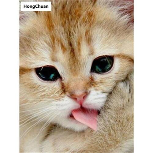 Cute Cat Full Square/Round 5D DIY Diamond Painting Crafts Mosaic Embroidery Home Decoration Christmas Gift New Year