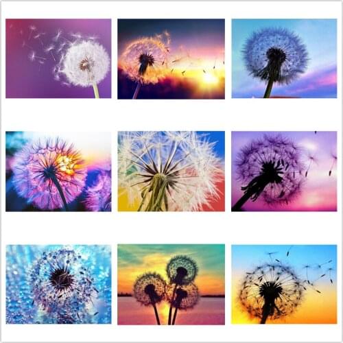 Kexinzu Full 5D Square Round Drill Diamond Painting Kit Cross Stitch Dandelion 5D Mosaic Embroidery Handmade Home Decor Gift