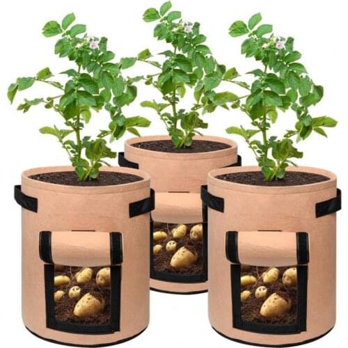 New Arrival Practical Transparent Planting Bag Side Opening Waterproof Felt Garden Grow Bag for Home Garden Accessories 2021