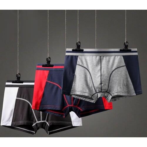 Modal Fast Dry Mens Sports Boxers Soft Cotton Breathable Mens Underwear Pants Underpants Fashion Male U convex Pouch Men Boxer