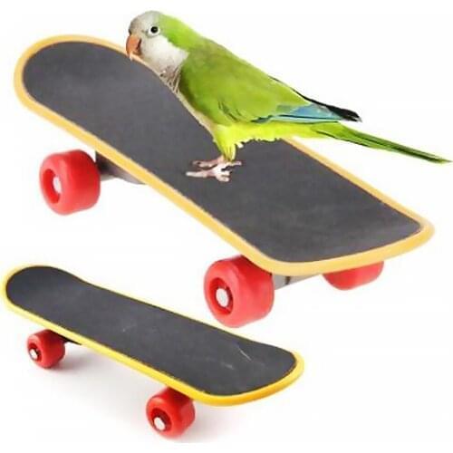 Pattern Random Bird Perch Toy Mini Skateboard Bird Playing Training Plastic Skating Board Pet Toy Supplies
