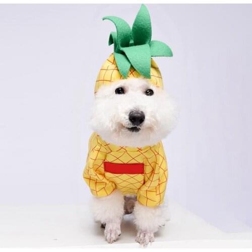 1 Piece New Fashion Pet Dog Clothes Lovely Dogs Pineapple Hoodie Creative Puppy Dress Dog Costume Decoration Accessories