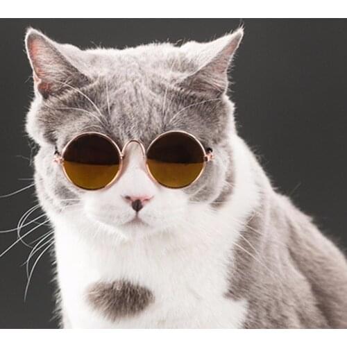 Pet Products Lovely Vintage Round Cat Sunglasses Reflection Eye wear glasses For Small Dog Cat Pet Photos Props Accessories