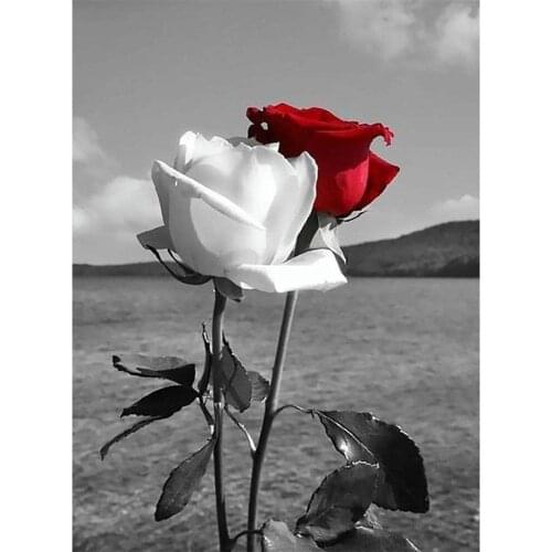 Flower Rose DIY Embroidery 11CT Cross Stitch Kits Needlework Craft Set Printed Canvas Cotton Thread Home Decoration Sell