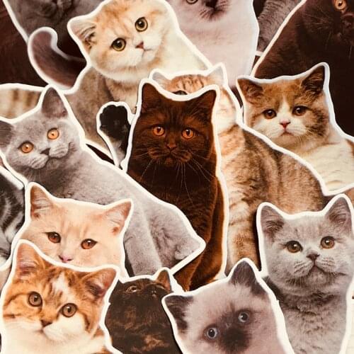 Cute Pet Cat Sticker DIY Scrapbooking Journal Base Collage Phone Diary Photo Props Gift Sealing Decoration