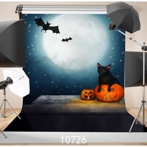 Strange Photography Backdrops Night Moon Stars Pumpkins Bats Cat Backgrounds for Photo Studio Custom Halloween Backdrop Vinyl