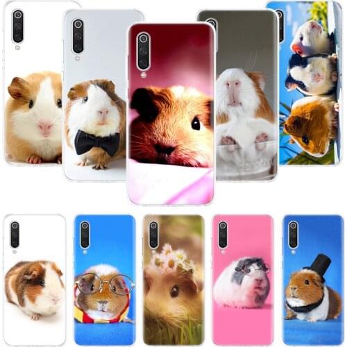 Guinea Pig Cute Animal Pet Blue Case for Xiaomi Redmi Note 10 9 9S 8 7 6 8T 8A 7A 6A S2 K30 K20 MI 9 8 CC9 F1 Lite Pro Soft TPU