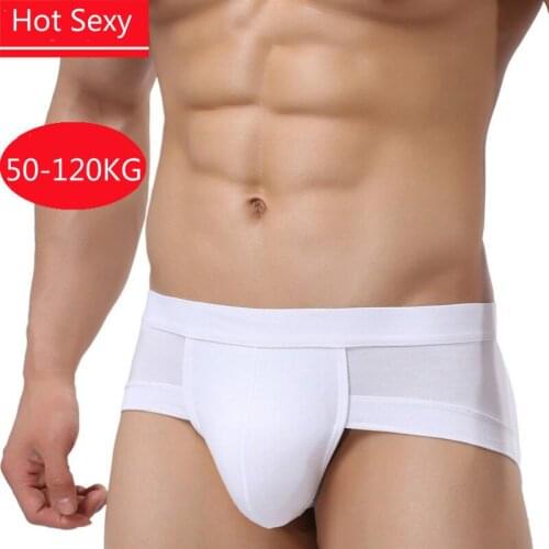 Hot Sexy Men Underwear Men Briefs Mesh Underpants Gentle Man Mens Briefs Cuecas Men Brief Bikini Under Wear Man Srting Mans