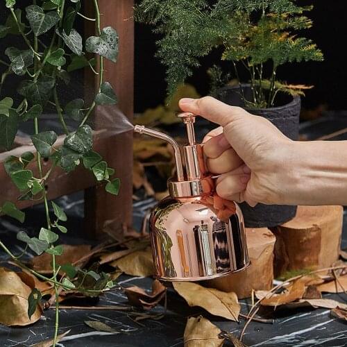 Stainless steel Watering Bottle 300ML Vintage watering can Succulent Plants Gardening Spraying Bottle Watering Pot Garden Tool