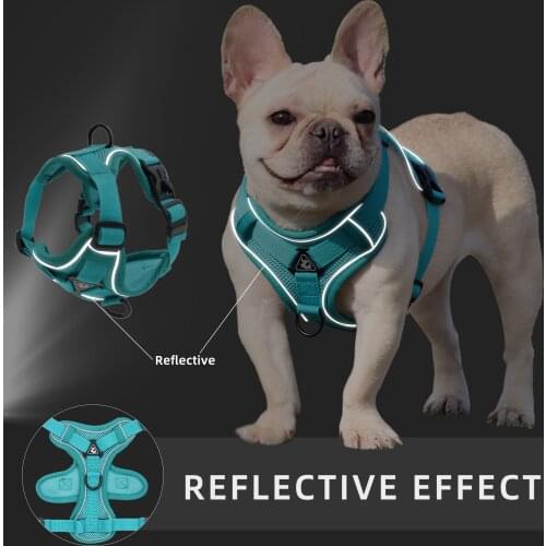 Dog Collars Reflective Pets Travel Safely At Night, Easy To Wear, Breathable and Comfortable Dog Harness Dog Collar Accessories