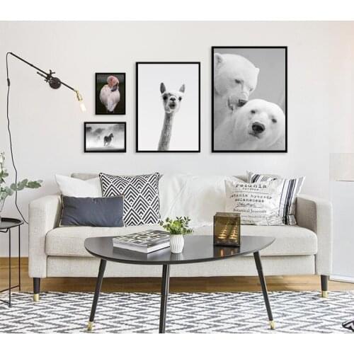 Animal Photography Portrait Alpaca Polar Bear Horse Canvas Art Painting Print Poster Picture Wall Living Room Home Decoration