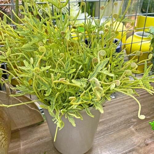 Fern grass decoration plant wall green plant simulation hairy fern ornament flower and grass wedding fern plastic