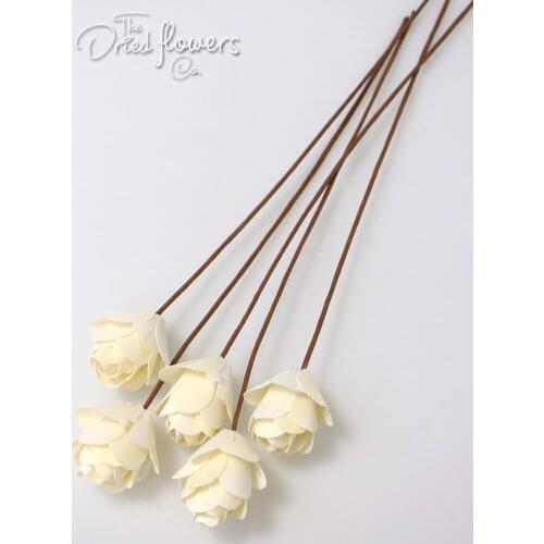Driedflowersco Artificial Roses