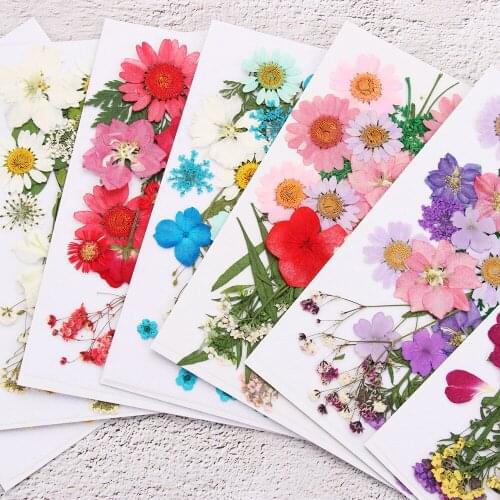 Dried Flowers UV Resin Mold Decorative Natural Flower Stickers 3D Dry Beauty Decal Pressed Flowers Epoxy Mold DIY Fillings