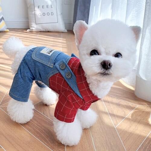 Spring and summer thin pet clothing cat than bear VIP small dog Schnauzer Teddy Bomei dog clothes four feet clothing