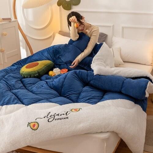 Thickened Wool Blanket In Winter Lamb Wool Double-sided Comfortable Warm Quilt Space Quilt Core Spring And Autumn Home Quilt