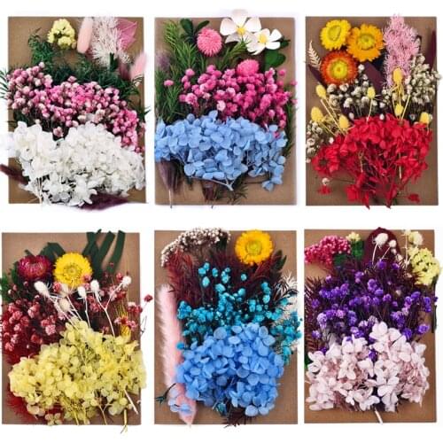 DIY Dried Flowers Real Flowers Embossed UV Epoxy Silicone Mold Fillings Nail Art Makeup Home Decoration Crafts