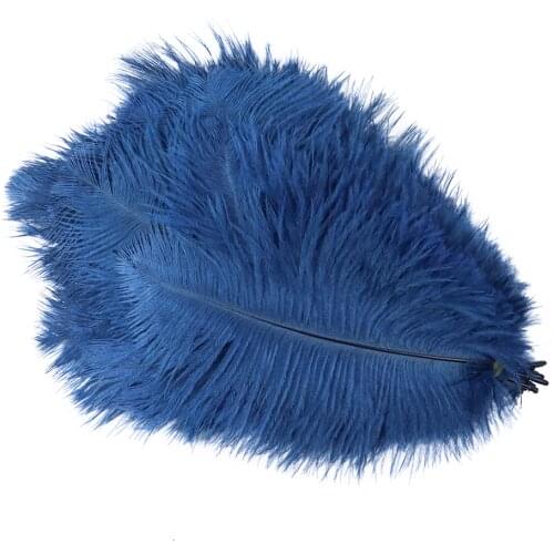 Wholesale 10PCS Real Fancy Ostrich Feather Beautiful Ostrich Plumes Dyed Color 20-25CM/6-8 inches DIY Wedding Home Plumes
