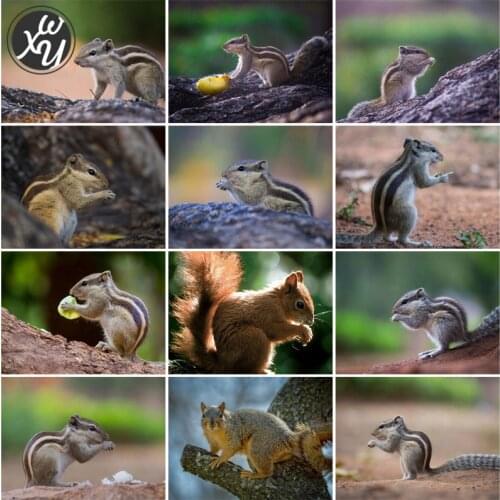 Diamond Art for Adults Squirrel Full Drill Mosaic Animal Round Square Rhinestones Accessories Cross Stitch Kits for Family Decor