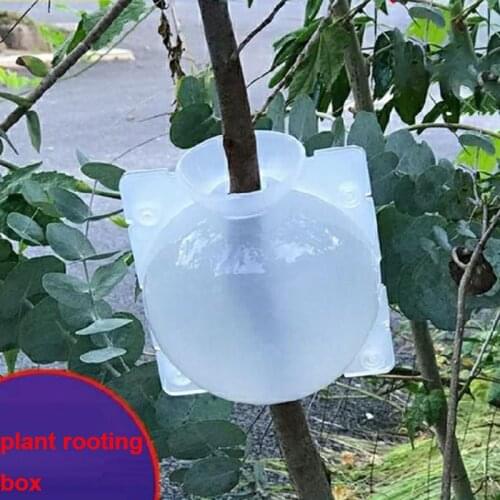 Plant Rooting Ball Case box Reusable Transparent High Pressure Grafting Garden Graft RootGrowing Box tree Breeding Container