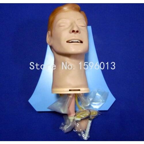 Multi-functional Airway Management Model, Endotracheal Intubation Trainer, Intubation Manikin