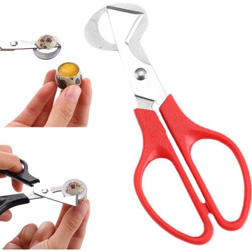 Quail Egg Pigeon Scissor Bird Cracker Stainless Steel Cutter Blade Clipper Kitchen Cigar Opener Household Accessories