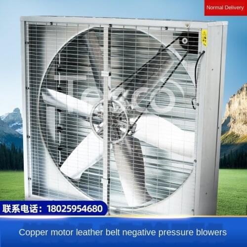 Negative Pressure Blowers Industrial Ventilating Fan Large Power Rate 380V Strong Exhaust Fan