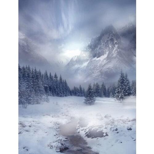 LIFE MAGIC BOX Backdrops Snow Mountain Photography Kids Background For A Photo S-2460