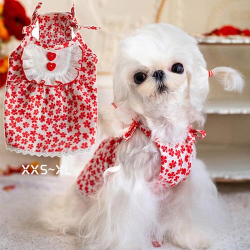 XXS Pet Clothes Puppy Skirt Summer Dog Dress Floral Red Lace Princess Corgi Pomeranian Teddy Yorkshire Bichon Shih Tzus Costume