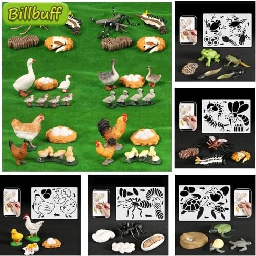 Simulation Animals Growth Cycle Butterfly Snails Swan Life Cycle Figures ABS Models Action Drawing Educational Toys for Children