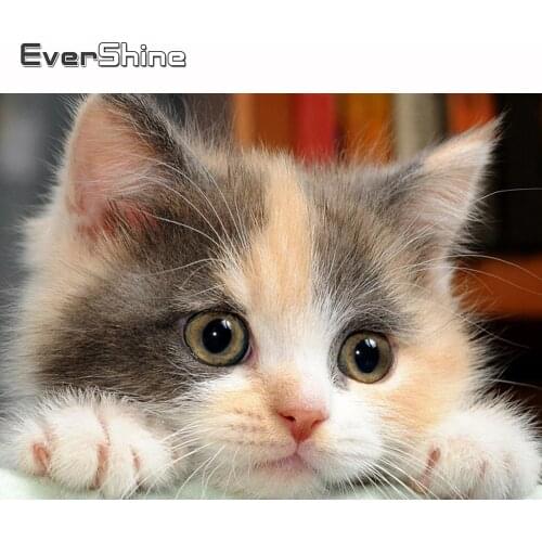 Evershine 5D Diamond Painting Full Square Cat Diamond Embroidery Animal Mosaic Cross Stitch Kit Pictures Beads Art Home Decor