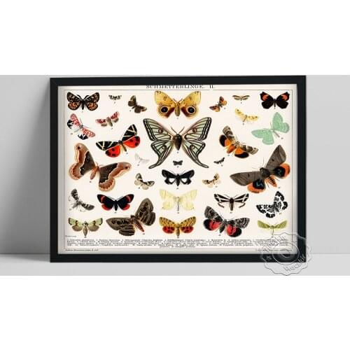 Animal Insect Encyclopedia Print, Collage Colourful Butterfly Vintage Poster, Nursery Kids Educational Decor, Child Gift Idea