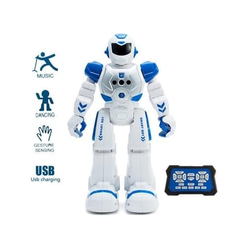VBNM Programmable Robots