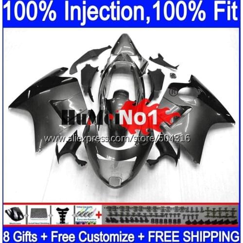 Blackbird For HONDA CBR 1100 XX CBR1100XX 92MC.119 CBR1100XX 1996 1997 1998 1999 2000 2001 96 97 98 99 00 01 Glossy grey Fairing