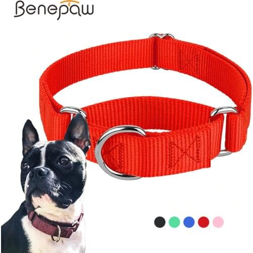 Benepaw Sturdy Martingale Nylon Dog Collar Adjustable Soft Comfortable Puppy Pet Collar For Small Large Dogs Traning Control