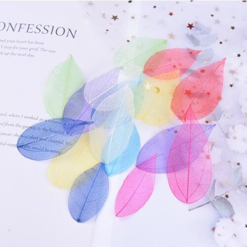 Natural Vajra Leaf Vein Embossing Adhesive Dripping Dry Flower Phone Case DIY Hand Account Bookmark Teachers Mothers Day Gift