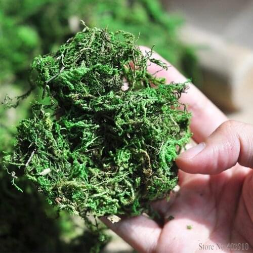 50g/bag Keep dry real green moss decorative plants vase artificial turf silk Flower accessories for flowerpot decoration