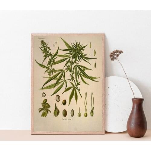 Kitchen Art Decoration Botanical Wall Art Canvas Poster Prints Herbs Spices Vintage Painting Picture Herbarium Home Wall Decor