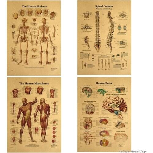 The Body Structure Skeleton Nervous System Vintage Poster Medical Decoracion Painting Wall Art Kraft Paper Posters Wall Stickers