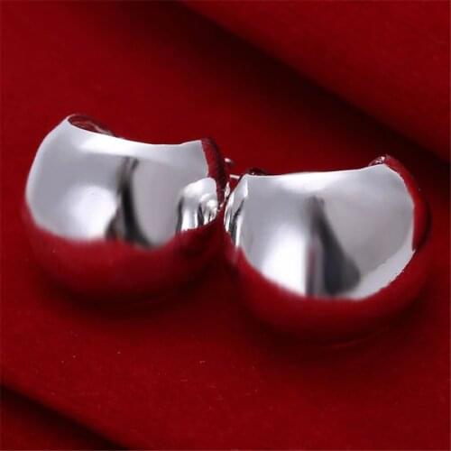 Hot selling new style silver color earrings high quality jewelry beautiful ladies favorite wild fashion hook earring