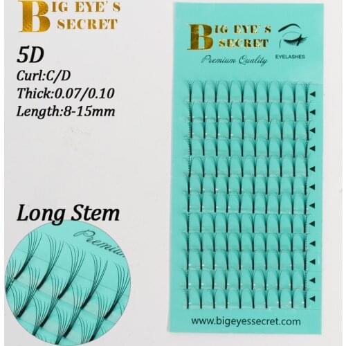 Big eyes secret premade fans 5D Eyelash 8-15mm Length Professional Pre fanned Eye Lashes Natural Russia Volume lashes